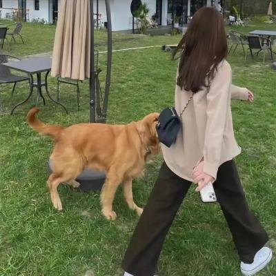 森中有林